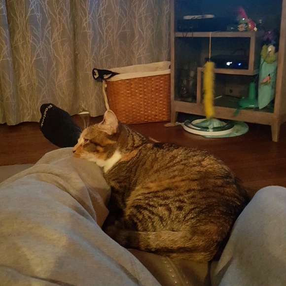 Meet your Posher, Tyler - Picture 1 of 1